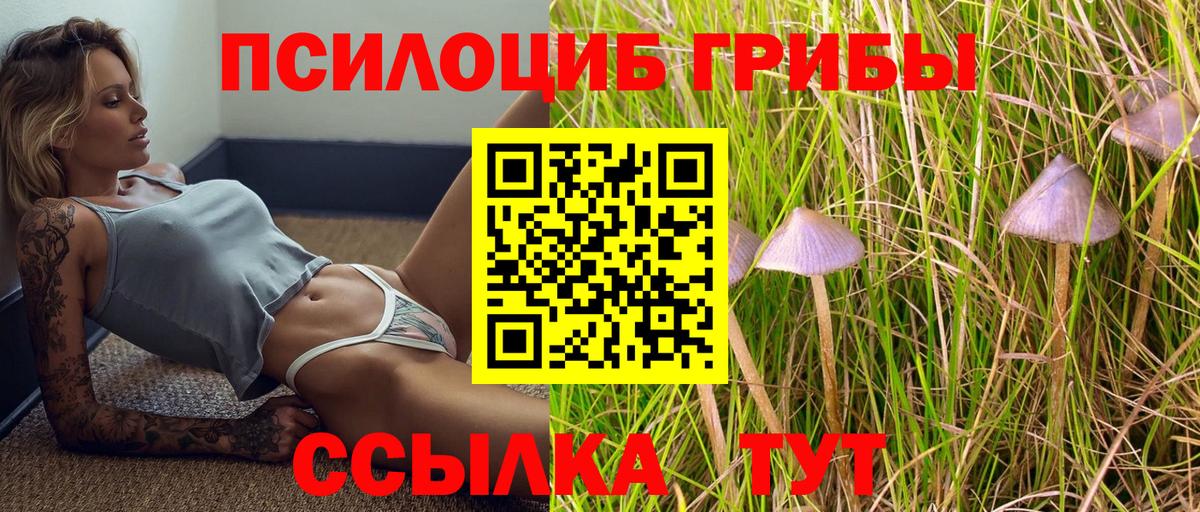 Псилоцибиновые грибы прущие грибы  Вход с VPN  Заводоуковск 