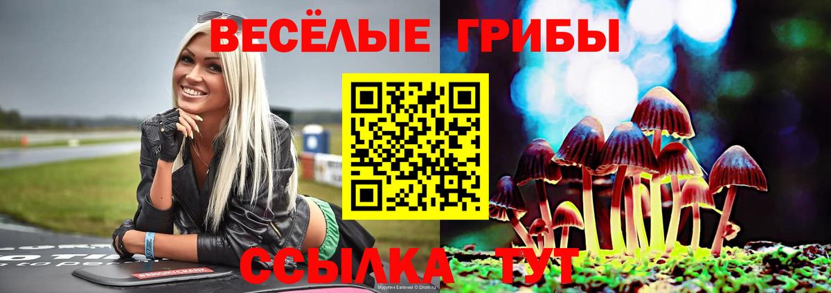 Псилоцибиновые грибы ЛСД Заводоуковск